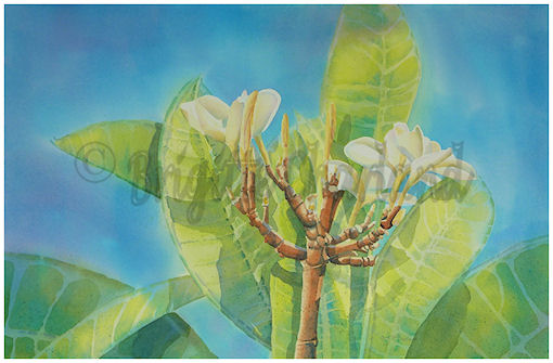 aquarelle fleurs brigitte charland