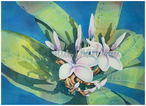 image aquarelle, fleurs, brigitte charland