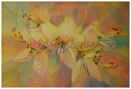 image aquarelle, brigitte charland, rhododendrons