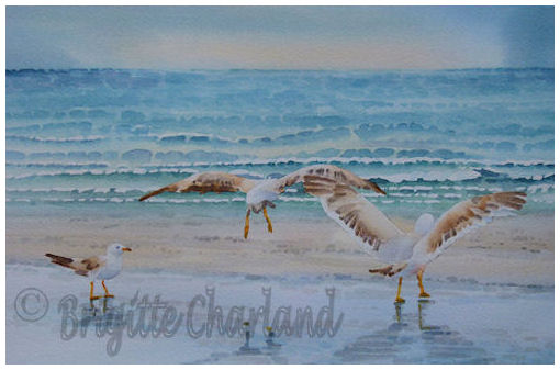 aquarelle, brigitte charland, oiseaux et mer
