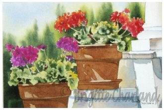 image, aquarelle, graniums, brigitte charland