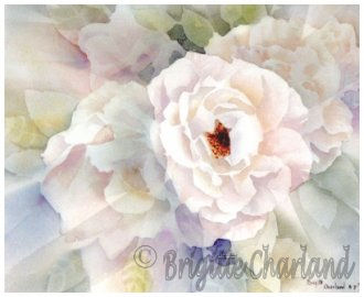 image aquarelle, brigitte charland, roses