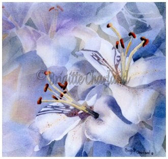 image aquarelle, brigitte charland, fleurs