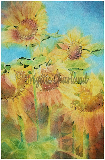 image aquarelle, brigitte charland, tournesols