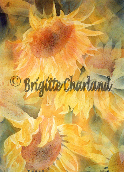 image aquarelle, brigitte charland, tournesols