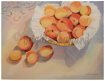 image aquarelle, brigitte charland, peches abricots